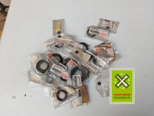 PXL_20240528_175532583
